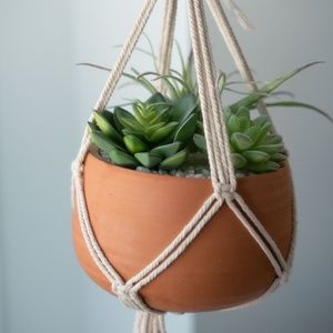 Faux Hanging Succulent